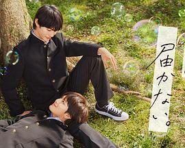 google网页seo优化